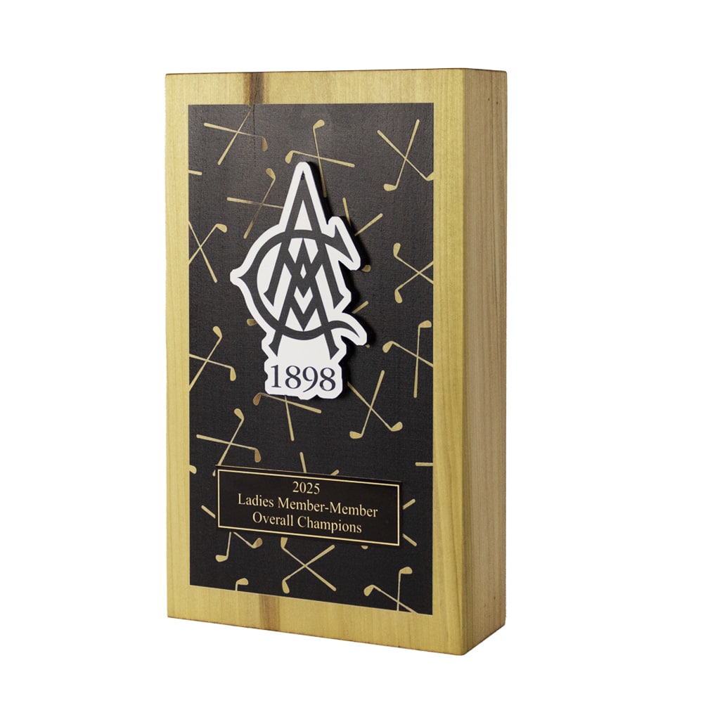 Links Pillar Award - Image 16