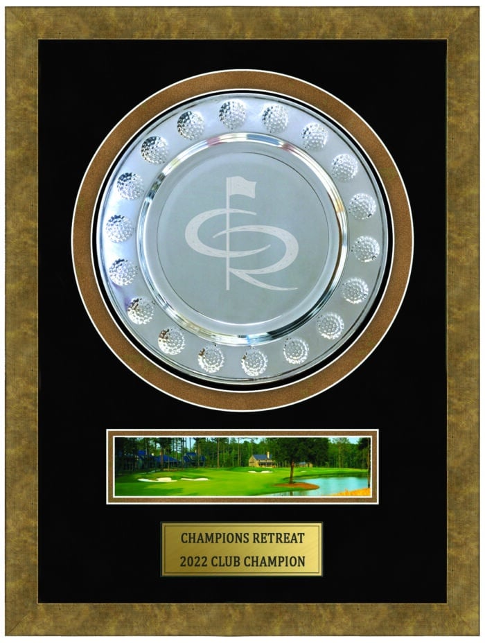 Golf Ball Plate Shadowbox - Image 3