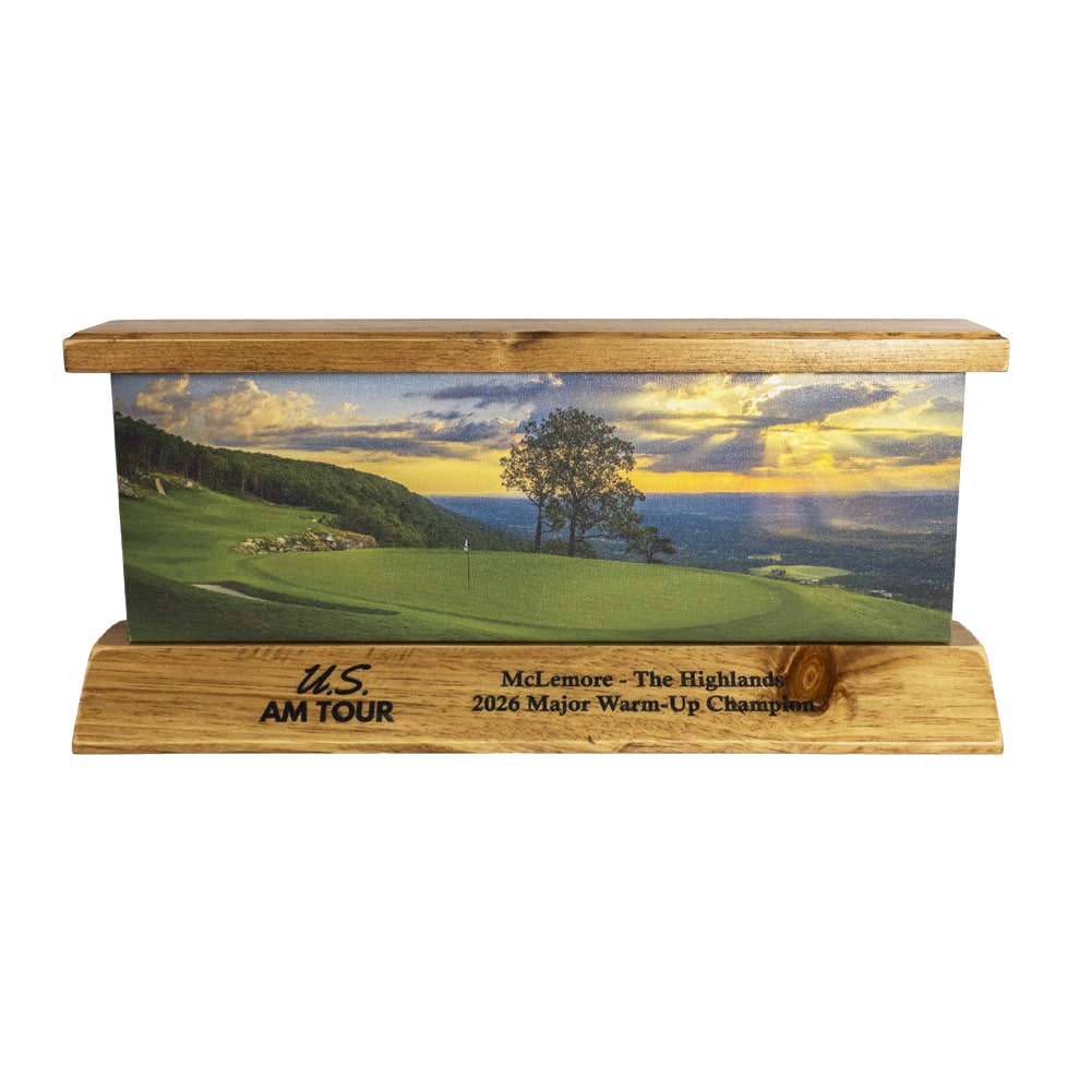 Links Column Award - Image 17