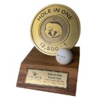 HIO Metal Plate Award