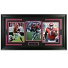 Georgia Bulldogs Rushing Leaders
