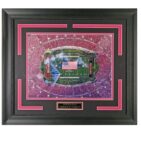 2018 Rose Bowl Stealth