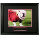 UGA IV Mascot "Russ"