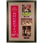 Limited Edition Ohio State Premier with Banner