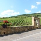 Burgundy Boasts a Feast for the Senses - Burgundy, France