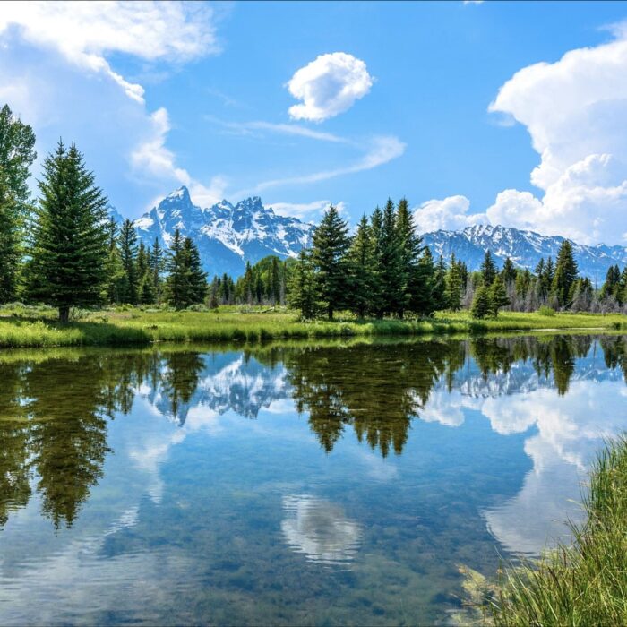 Premier Retreat in the Great American West - Jackson Hole - Image 3