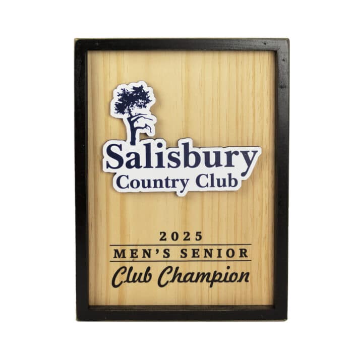 Links Framed Pillar Award - Image 8