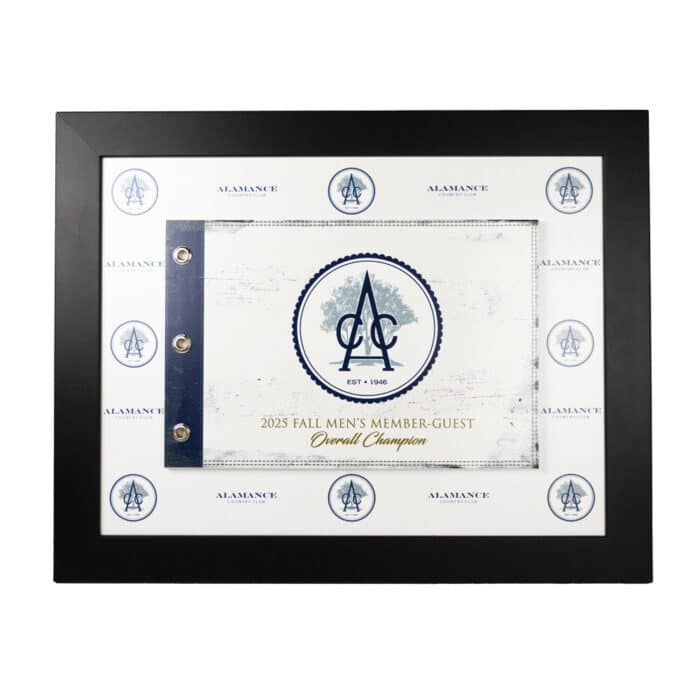Framed Wooden Pin Flag - Image 11