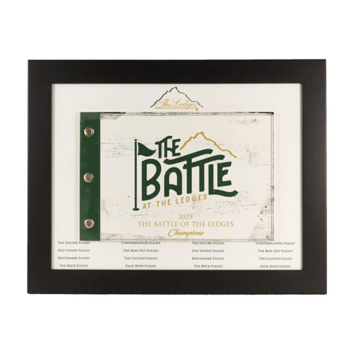 Framed Wooden Pin Flag - Image 9