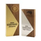 Pinnacle Achievement Award