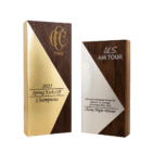 Pinnacle Achievement Award