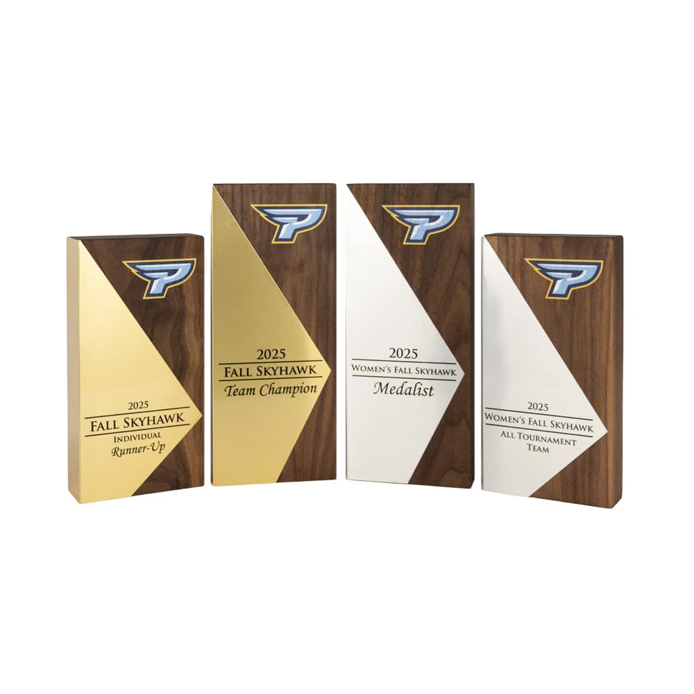 Pinnacle Achievement Award - Image 7